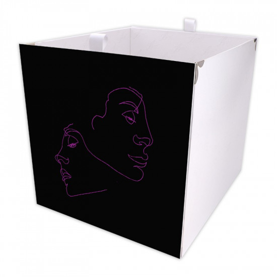 Kallax Box Line Art Face 03 