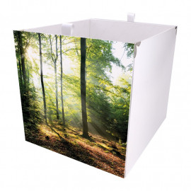 Kallax Box Waldlichtung 